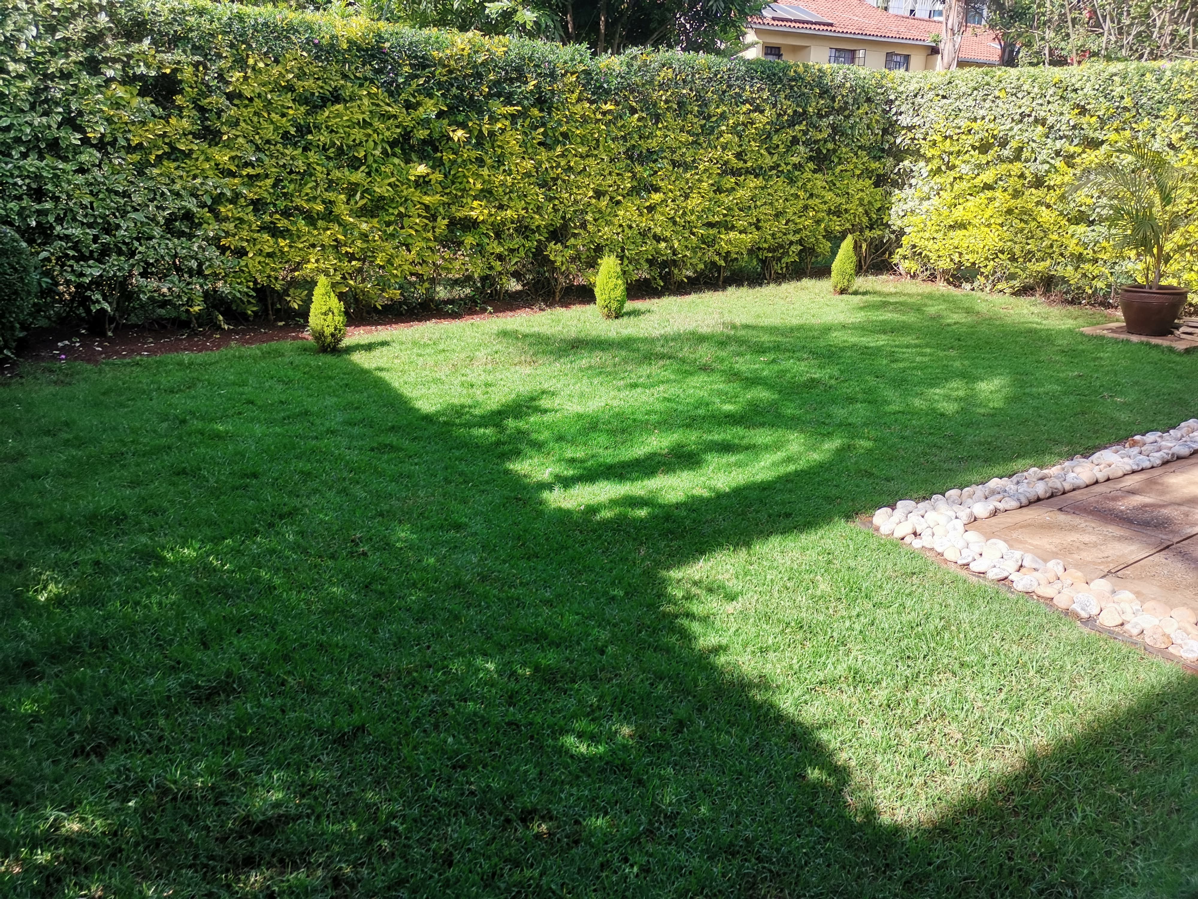 Landscaping and sustainable outdoor space